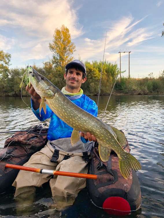 Le spinnerbait Booyah est idéal pour les prospections rapides de vastes surfaces en quête de poissons actifs. 