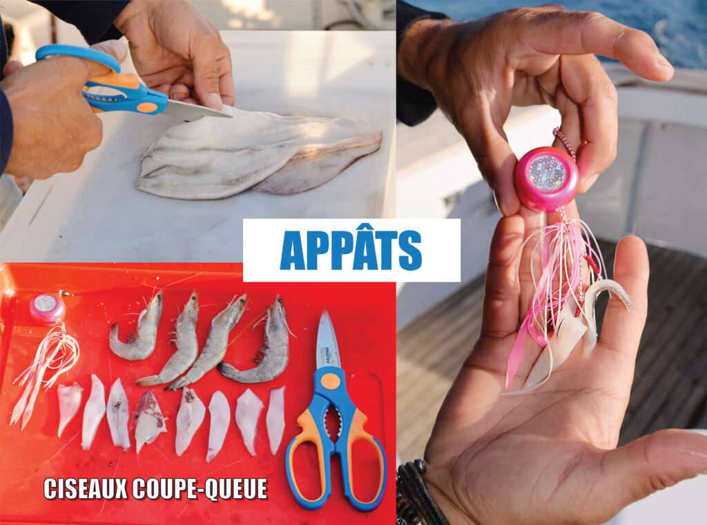 Les lanières de calamar et les gambas sont découpées pour escher le Bunri Kab Explorer Tackle