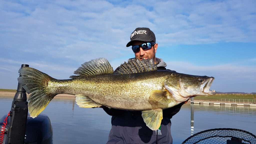 STX Owner : le top pour armer des poissons nageurs ! STX Owner : le top pour armer des poissons nageurs !