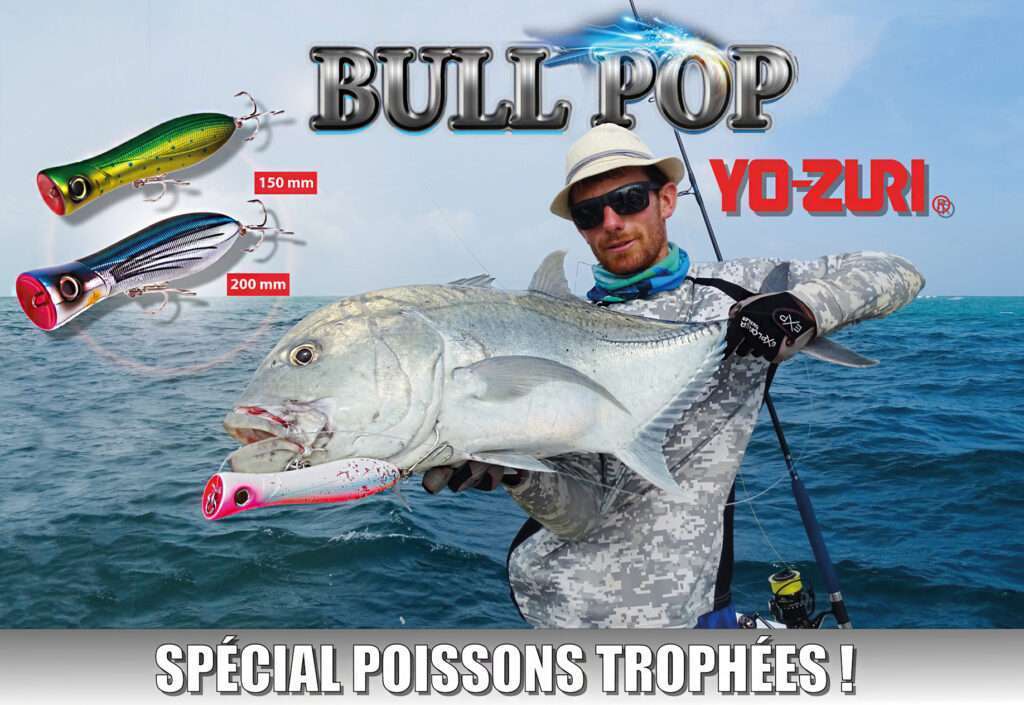 Bull Pop : l’idéal pour sélectionner les plus beaux spécimens !