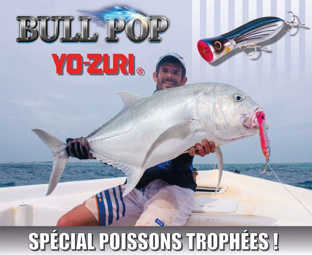 Bull Pop Yo-Zuri : LE popper à poissons records !
