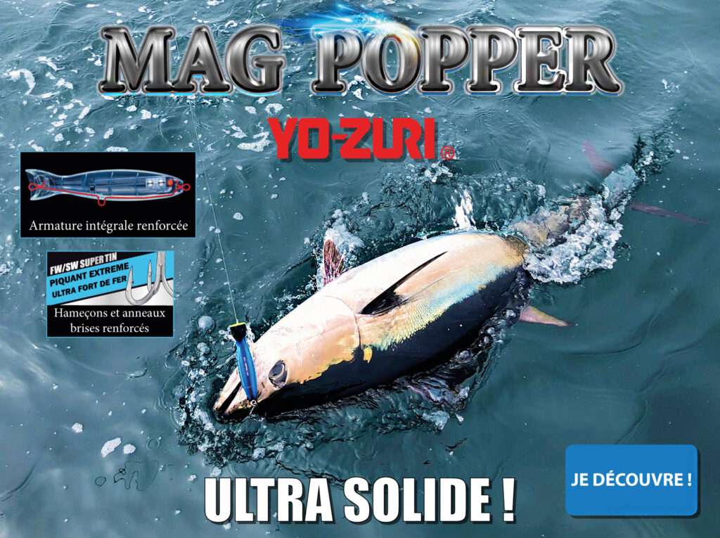 Mag Popper Yo-Zuri : ultra solide !